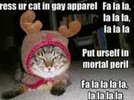 dressyourcat.jpg