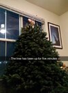 animals_38.jpg