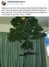 animals_43.jpg