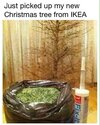 FB_IMG_15755908260631.jpg
