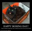 cheezburger-wishes-all-you-cats-out-there-a-very-happy-boxing-day.jpg