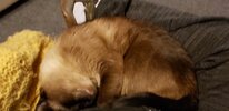 20191230_184402.jpg