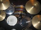 Ludwig maple 002.JPG