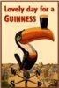 lovely_day_guinness_toucan.jpg