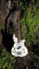 BC Rich 83 loose.jpg