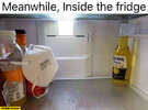 meanwhile-inside-the-fridge-corona-beer-separated-from-rest-of-food-products-wearing-mask.jpg