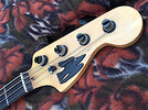 Raven Headstock 17@100.jpg
