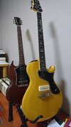 gibson_prs.JPG