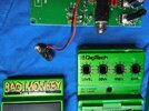 Bad Monkey (2).jpg