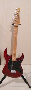 Alvarez Electric Guitar (1).jpg