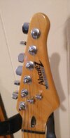 Alvarez Electric Guitar (2).jpg