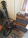 Luna & Orange short rig 12-24-17@100.jpg