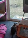 20200419_174934.jpg