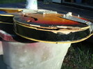 DSC07840.JPG