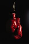 d322-hanging-boxing-gloves-ernie-friedlander.jpg