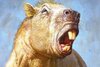 9a-ancient-guinea-pig.jpg
