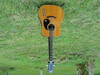 DSC07163.JPG