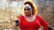 pinkflamingos.jpg