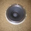 Sunn Speaker (surround done) .jpg
