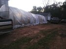 Greenhouse 6.jpg