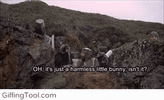 ScalyScratchyAmericanredsquirrel-size_restricted.gif