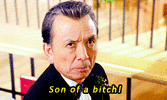 sons a bitches.gif