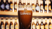 guinness.gif