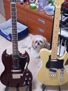 20210127_170637.jpg 20210127_170637.jpg