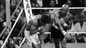 Hagler-990x557.jpg