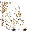 Wow!.gif