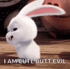 bunny.gif