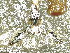 83662383d213b4e33fa3fc7f2c4939fcb316f02b_m.gif