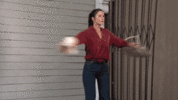 lynda spin 1.gif