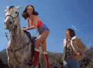 lynda horse.gif