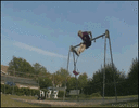 stupid stunts 1.gif