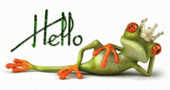 Hello frog .gif
