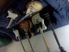 MarksPics384 Guitars.jpg