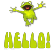 hello frog 2.gif