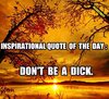 Don't Be A Dick.jpg