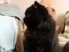 1622860478642.gif