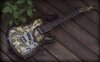 telecaster paisley.jpg