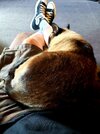 20210621_134715.jpg 20210621_134715.jpg