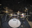 Ludwig Maple 002.JPG