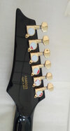 Headstock.jpg