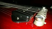20170813_175600.jpg