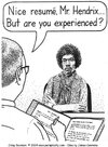 But are you experienced.jpg