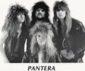 Pantera Hair 01.jpg