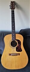 Washburn D-20 SN.jpg