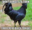 dont-forget-to-turn-your-cocks-black-tonight.jpg