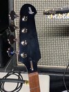 120_Headstock and tuners.jpg
